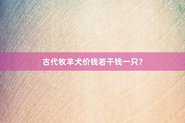 古代牧羊犬价钱若干钱一只？