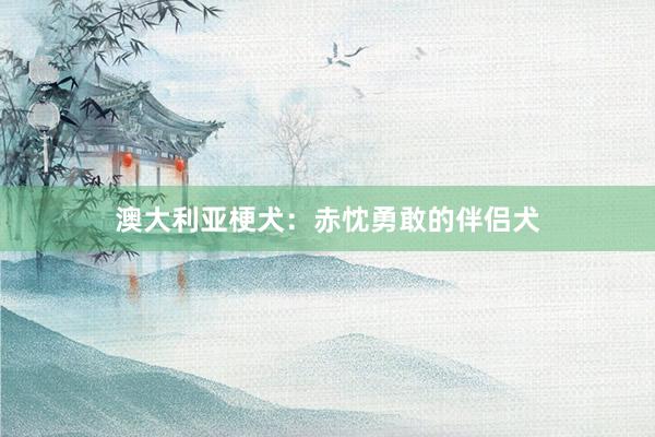 澳大利亚梗犬：赤忱勇敢的伴侣犬